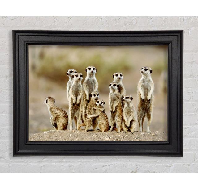 Meerkat Family Framed Print Ebern Designs Size: 84.1cm H x 142.2cm W on Productcaster.