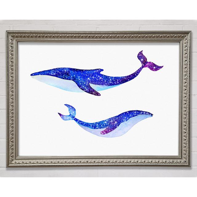 Twinkling Whales Framed Print House of Hampton Size: 59.7cm H x 84.1cm W x 3.4cm D, Format: Gold Framed Paper on Productcaster.