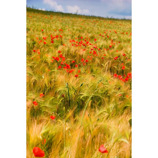 Poppies In Field I August Grove Size: 122cm H x 81cm W x 3.8cm D on Productcaster.