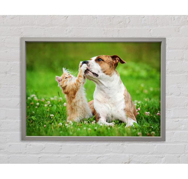 Cat No Dog Talk - Single Picture Frame Art Prints on Canvas Bright Star Size: 84.1cm H x 118.9cm W x 3.3cm D on Productcaster.