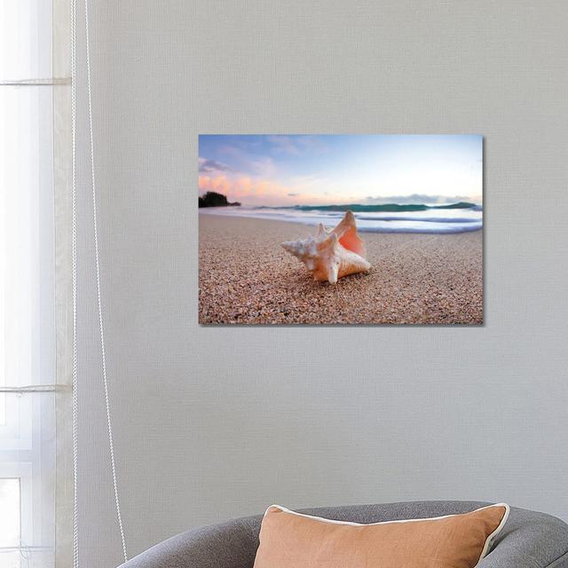 Shell Surprise by Sean Davey - Gallery-Wrapped Canvas Giclée on Canvas Beachcrest Home Format: Wrapped Canvas, Size: 45.72cm H x 66.04cm W on Productcaster.