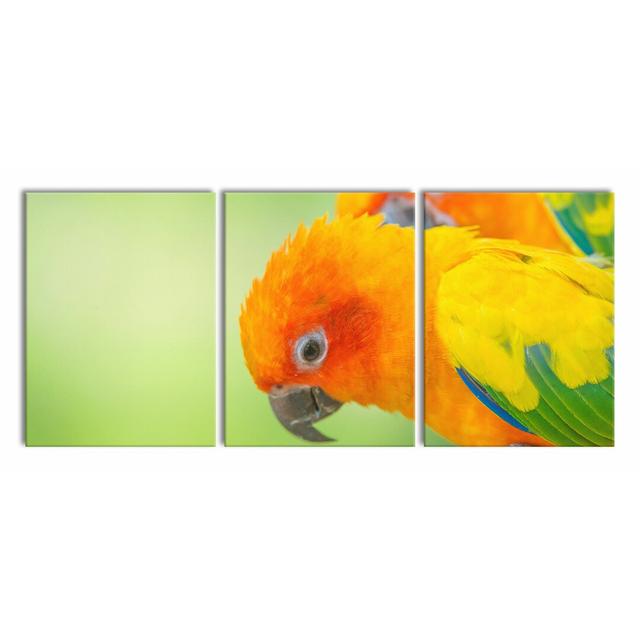 Parrot Couple Photographic Art Print Multi-Piece Image on Canvas East Urban Home Size: 80cm H x 180cm W on Productcaster.