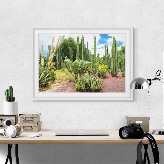 Gerahmtes Poster Cactus Landscape East Urban Home Rahmenauswahl: Mattes Weiß, Größe: 40 cm H x 55 cm B on Productcaster.