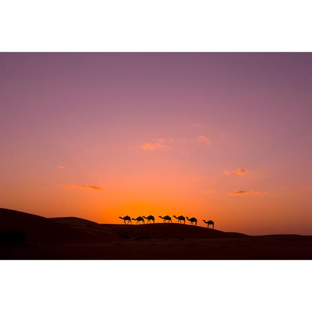 Camel Standing To His Full Height, Using For Tourist Trips To Hurghada, Egypt by Blueximages - Wrapped Canvas Print Gracie Oaks Size: 81.28cm H x 121. on Productcaster.