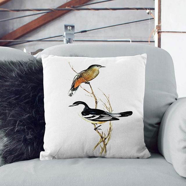 Black White Cuckoo Shrike By Elizabeth Gould East Urban Home Size: 55cm H x 55cm W x 20cm D, Backing Colour: White on Productcaster.