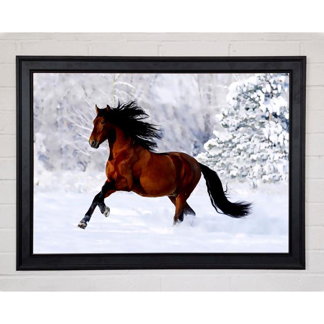 Wild Horse In The Snow - Print Natur Pur Size: 29.7" H x 42" W x 1.5" D on Productcaster.