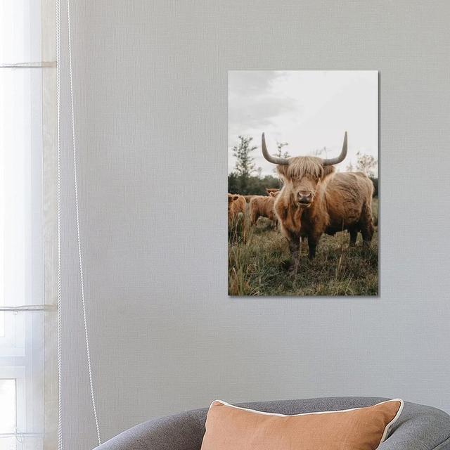 The Curious Highland Cow by Chelsea Victoria - Wrapped Canvas Photograph Natur Pur Size: 66.04cm H x 45.72cm W x 3.81cm D on Productcaster.