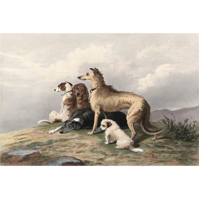 Highland Dogs by Sir Edwin Landseer - Wrapped Canvas Graphic Art Rosalind Wheeler Size: 81cm H x 122cm W on Productcaster.