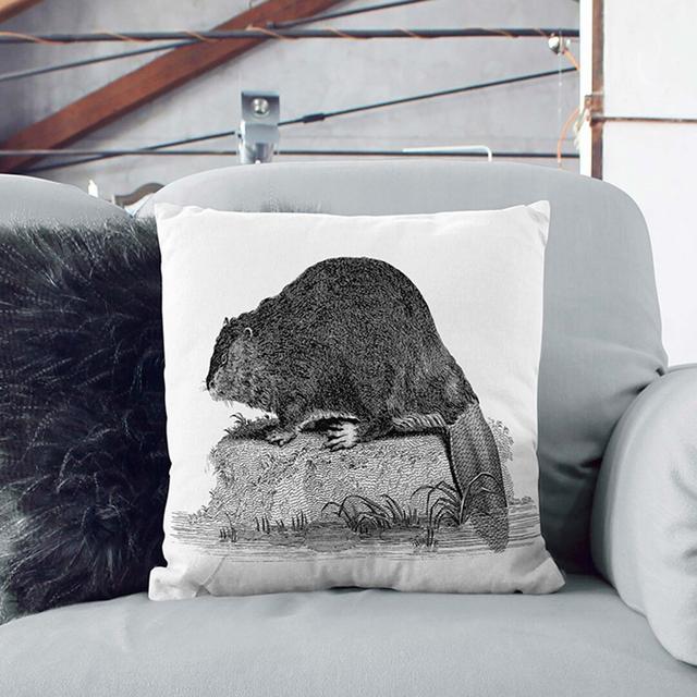 Beaver Cushion with Filling East Urban Home Size: 40cm H x 40cm W x 15cm D, Backing Colour: White on Productcaster.