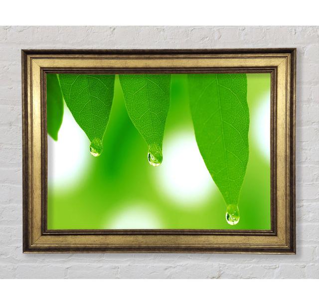 Single Picture Frame Art Prints Bright Star Size: 21cm H x 42cm W x 8cm D on Productcaster.