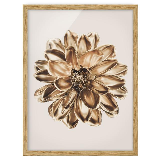 Dahlia Flower Gold Metallic - Picture Frame Graphic Art Ebern Designs Frame Option: Brown Framed, Size: 100cm H x 70cm W x 2cm D on Productcaster.