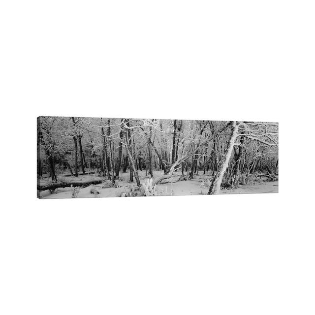 Snow Covered Trees in a Forest, Alberta, Canada - Wrapped Canvas Panoramic Photograph Union Rustic Size: 30.48cm H x 91.44cm W x 1.905cm D on Productcaster.