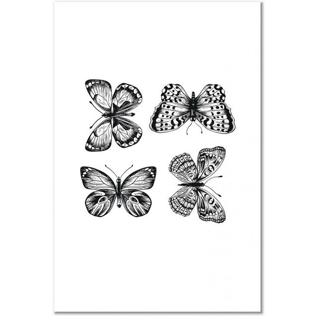 'Four Butterflies' - Wrapped Canvas Graphic Art Print Latitude Run Size: 120cm H x 80cm W x 1.3cm D on Productcaster.