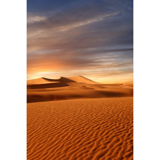 Crass Desert by Ersler - Wrapped Canvas Print Natur Pur Size: 30cm H x 20cm W x 3.8cm D on Productcaster.