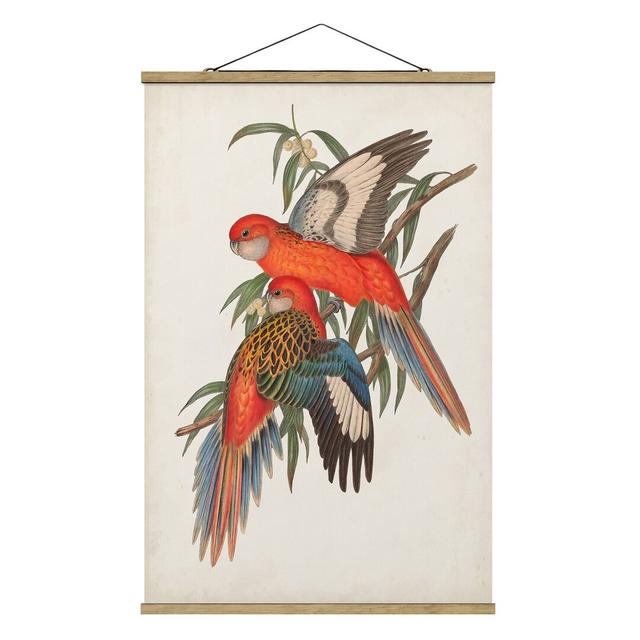 Tropical Parrots I - Graphic Art Print Bay Isle Home Size: 75cm H x 50cm W x 0.3cm D, Format: Fabric on Productcaster.