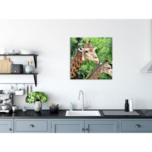 Giraffes - Unframed Photograph on Glass Ebern Designs Size: 70cm H x 70cm W on Productcaster.