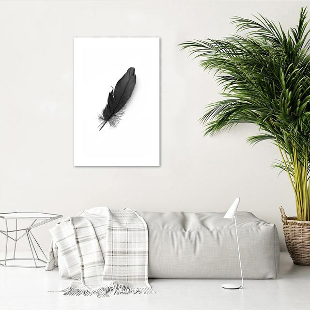 Grafikdruck Black Feather World Menagerie Größe: 30 cm H x 20 cm B x 1 cm T on Productcaster.