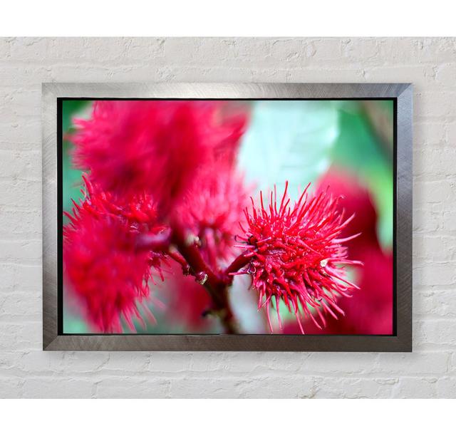 Spikey Flower Heads - Single Picture Frame Art Prints Bright Star Size: 59.1cm H x 84.1cm W x 3.4cm D on Productcaster.