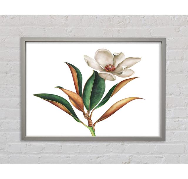 Britische Blumenillustration - Einzelne Bilderrahmen Kunstdrucke Rosalind Wheeler Format: Hellgrau gerahmte Leinwand, Größe: 84,1 cm H x 118,9 cm B x on Productcaster.