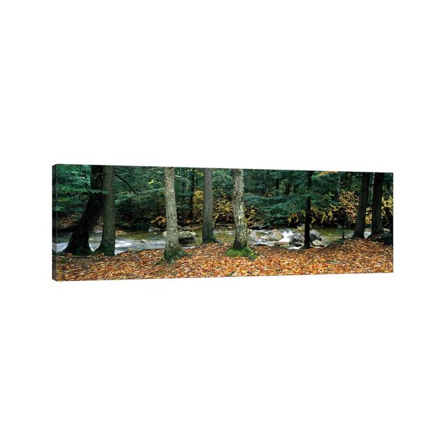 River Flowing Through A Forest, White Mountain National Forest, New Hampshire, USA Union Rustic Size: 40.64cm H x 121.92cm W x 3.81cm D on Productcaster.