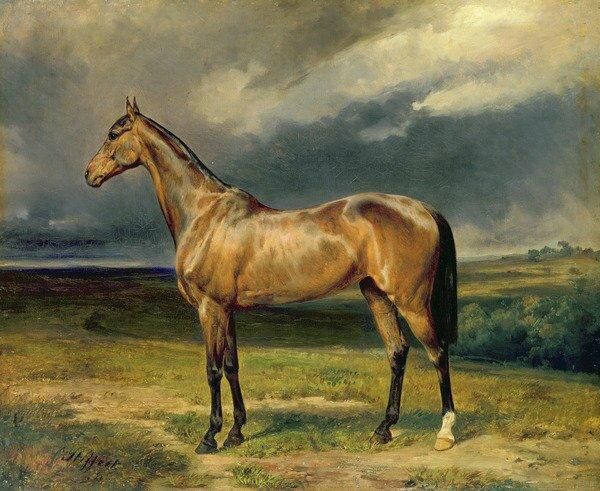 Abdul Medschid' the chestnut arab horse, 1855 by Carl Constantin Steffeck Framed Art Print East Urban Home Size: 30cm H x 40cm W x 2.3cm D, Format: Bl on Productcaster.