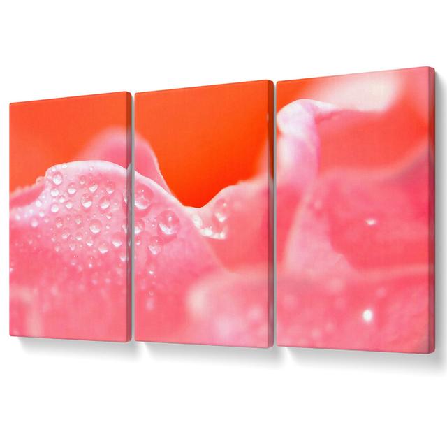 Pink Rose Dew Drop - 3 Piece Wrapped Canvas Graphic Art Ebern Designs Size: 101.6cm H x 203cm W on Productcaster.