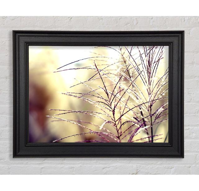 Wildflowers In The Sunlight - Single Picture Frame Art Prints Brayden Studio Size: 29.7cm H x 42cm W x 8cm D on Productcaster.