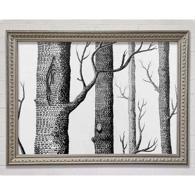 Silver And Silver Tree Trunks - Single Picture Frame Art Prints Rosalind Wheeler Size: 21cm H x 29.7cm W x 3cm D on Productcaster.