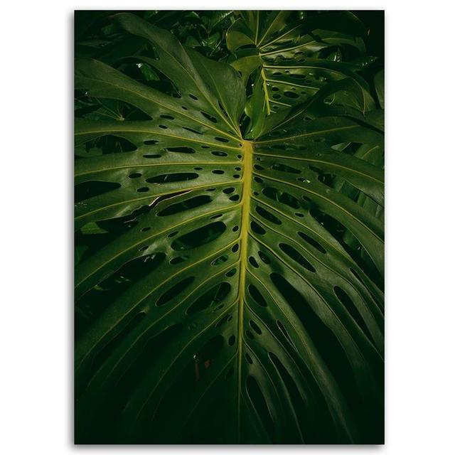 Leinwandbild Exotic Vegetation Leaf Sansibar Home Größe: 50 cm H x 40 cm B on Productcaster.