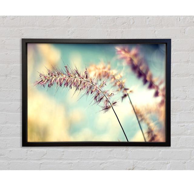 All Along - Single Picture Frame Art Prints on Canvas Bright Star Size: 59.7cm H x 84.1cm W x 3.3cm D on Productcaster.