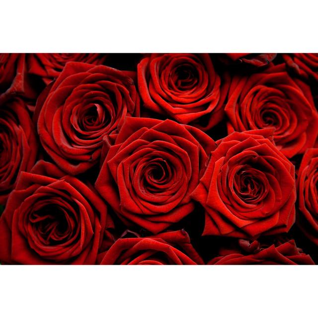 Red Love by Pederk - Wrapped Canvas Print 17 Stories Size: 20cm H x 30cm W on Productcaster.