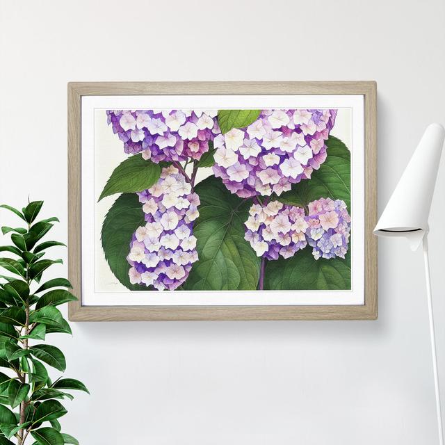 Watercolour Hydrangea Flowers Vol.3 - Single Picture Frame Print Marlow Home Co. Size: 34cm H x 46cm W x 2cm D, Frame Colour: Oak on Productcaster.