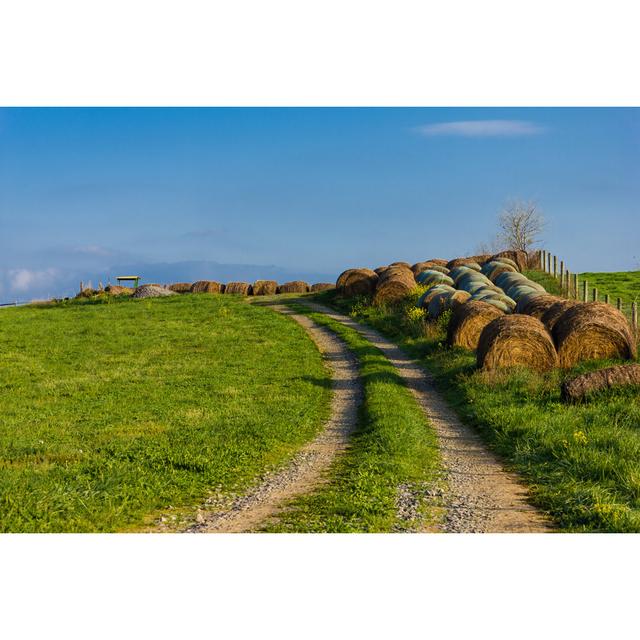 Virginia Farm by Bspollard - Wrapped Canvas Photograph Latitude Run Size: 20cm H x 30cm W on Productcaster.