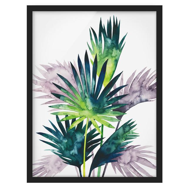 Exotic Foliage - Fan Palm - Picture Frame Painting Bay Isle Home Size: 100cm H x 70cm W x 2cm D, Frame Option: Black Framed on Productcaster.