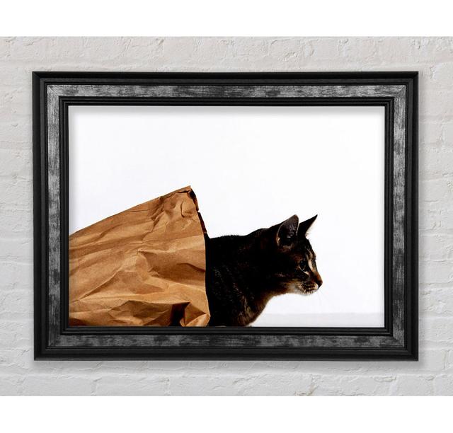 Cat In A Bag - Print Bright Star Size: 100cm H x 141.4cm W x 8cm D on Productcaster.