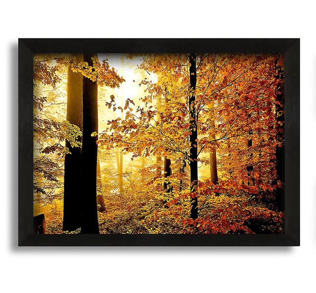 Beautiful Autumn Foliage - Photograph on Canvas Union Rustic on Productcaster.