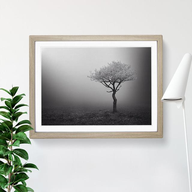 Lonely Tree - Single Picture Frame Print 17 Stories Size: 34cm H x 46cm W x 2cm D, Frame Colour: Oak on Productcaster.