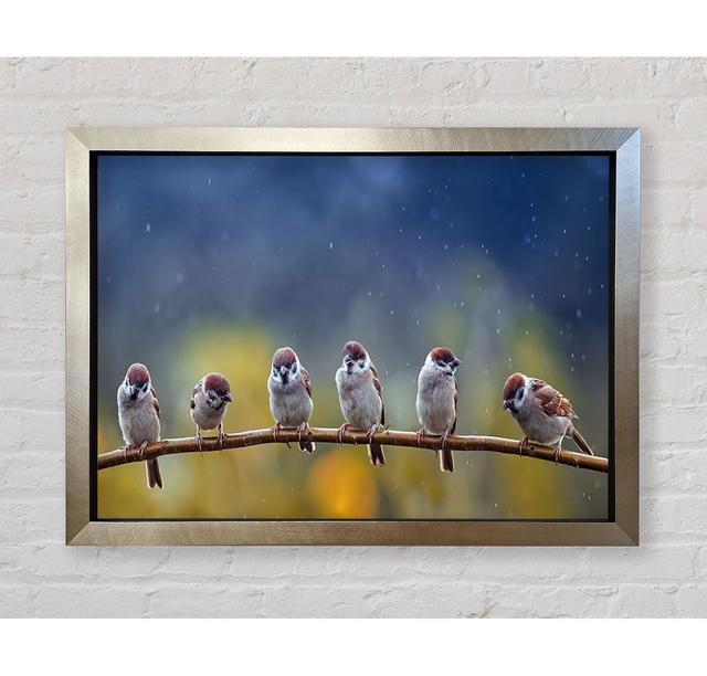 The Tits On A Branch - Single Picture Frame Art Prints Bright Star Size: 42cm H x 59.7cm W x 3.4cm D on Productcaster.