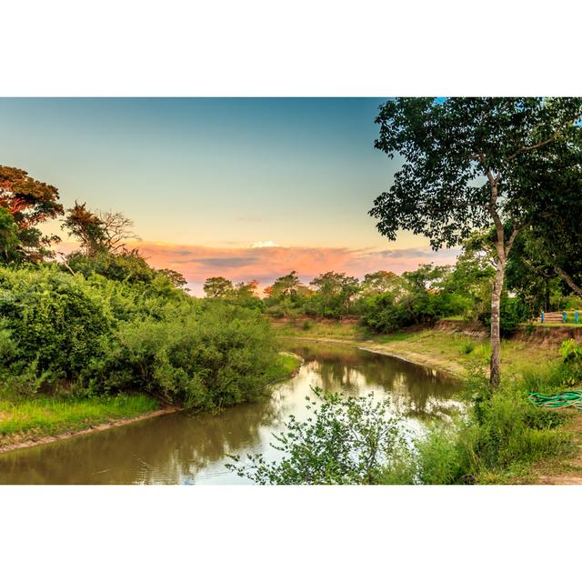 Pantanal Wetlands, Brazil - Wrapped Canvas Print Ebern Designs Size: 51cm H x 76cm W x 3.8cm D on Productcaster.