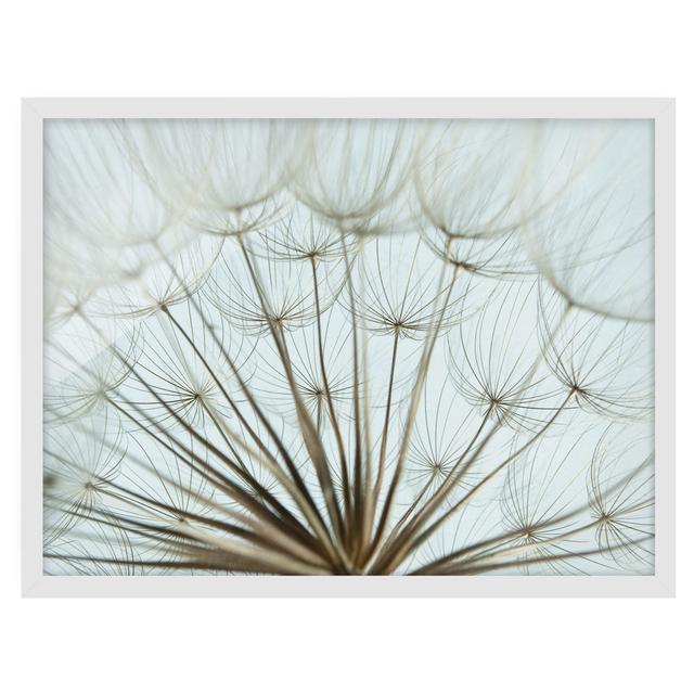 Beautiful Dandelion Macro Shot - Picture Frame Graphic Art Ebern Designs Frame Option: White Framed on Productcaster.