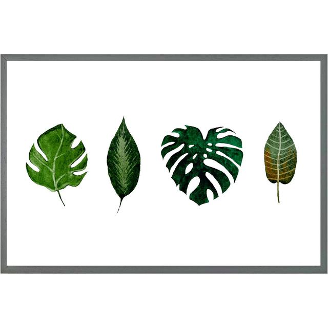 Leaves Selections Picture Frame Bay Isle Home Size: 51cm H x 76cm W x 4cm D, Frame Option: Grey Framed on Productcaster.