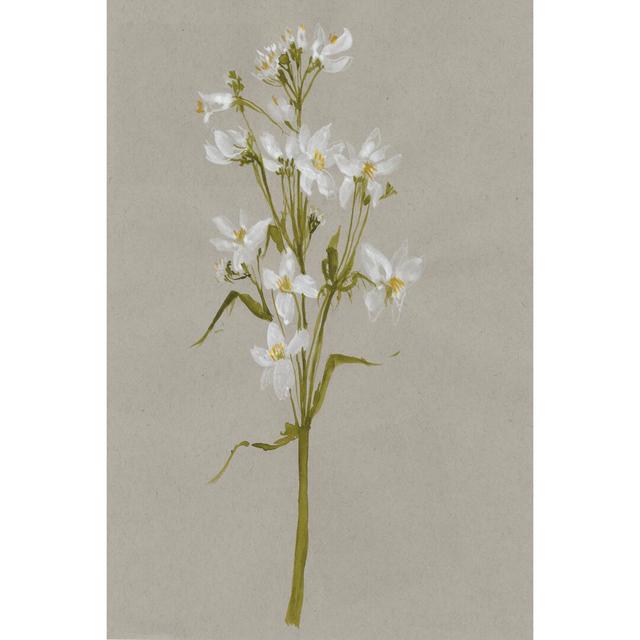 White Field Flowers I - Wrapped Canvas Painting Rosalind Wheeler Size: 30cm H x 20cm W x 3.8cm D on Productcaster.