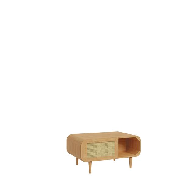 COSTA RICA Coffee Table with Storage 17 Stories on Productcaster.