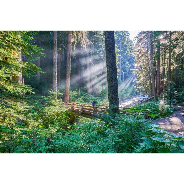 Vater und Kleinkind Tochter Sol Duc Falls In The Unique Scenery Of The Sol Duc River Valley by Bkamprath - No Frame Art Prints on Canvas Alpen Home Gr on Productcaster.