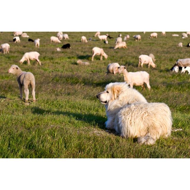 Guarding The Flock - Wrapped Canvas Print Brambly Cottage Size: 30cm H x 46cm W x 3.8cm D on Productcaster.