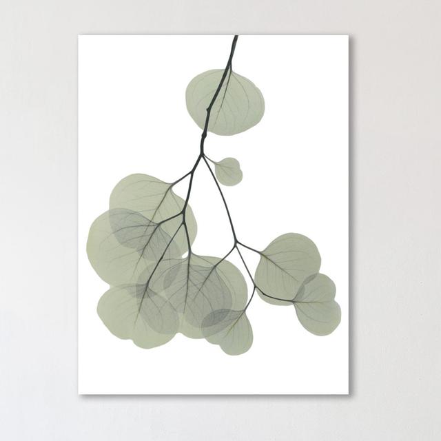 Descending Eucalyptus 3 - Wrapped Canvas Graphic Art Print East Urban Home Size: 51 cm H x 38 cm W on Productcaster.