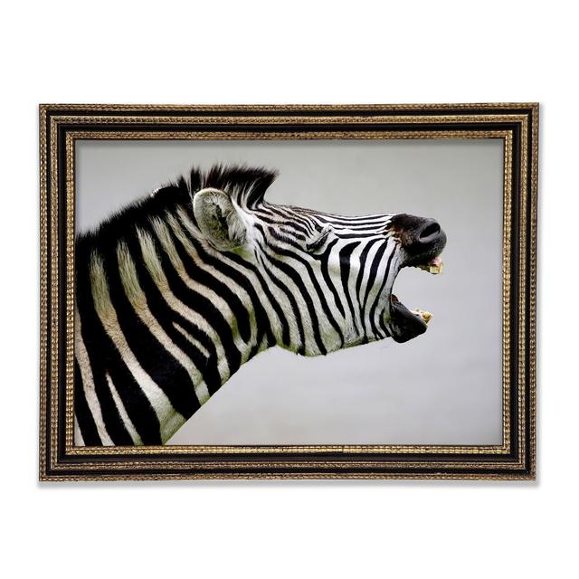 Laughing Zebra - Print Ebern Designs Size: 29.7cm H x 42cm W x 3cm D on Productcaster.