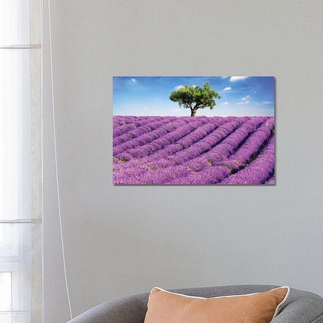 Lavender Field And Tree, Provence by Matteo Colombo - Wrapped Canvas Print Lily Manor Size: 45.72cm H x 66.04cm W x 1.91cm D on Productcaster.