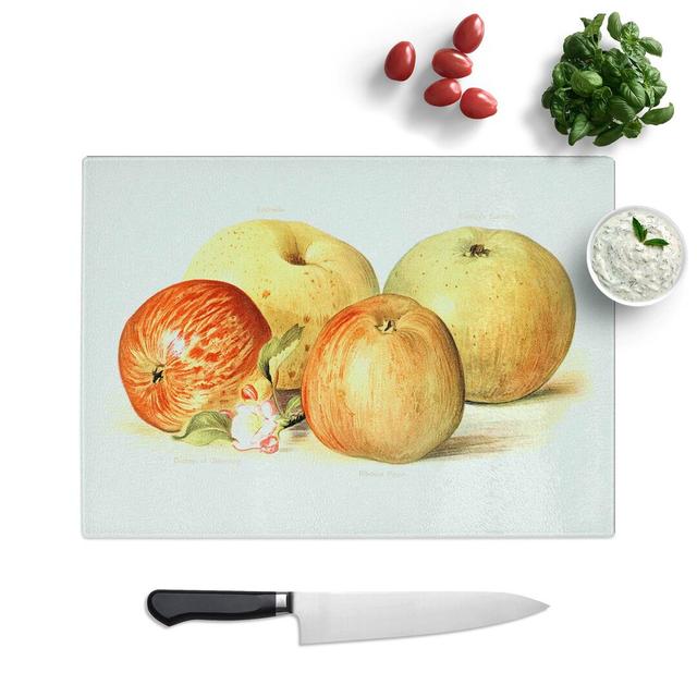 Tempered Glass Vintage Illustration of a Selection of Apples Chopping Board East Urban Home Size: 39 cm W x 28.5 cm L on Productcaster.