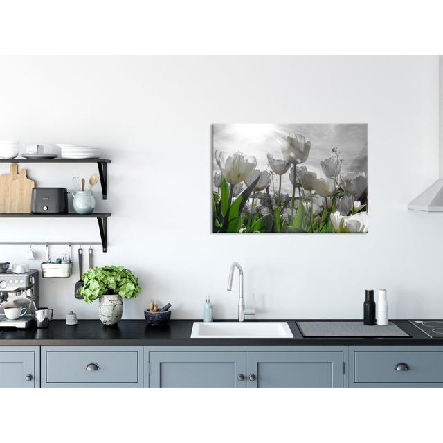 Beautiful Tulip Meadow - Unframed Photograph on Glass Brayden Studio Size: 60cm H x 80cm W x 0.4cm D on Productcaster.